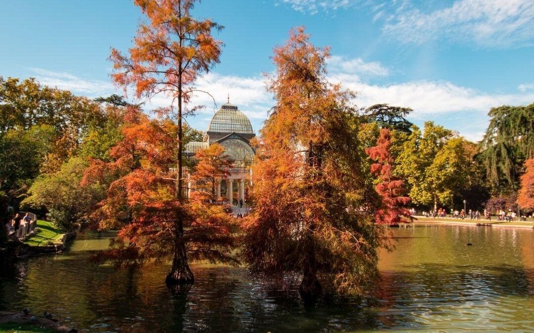 Comer bien cerca del Retiro: experiencias gastronómicas únicas